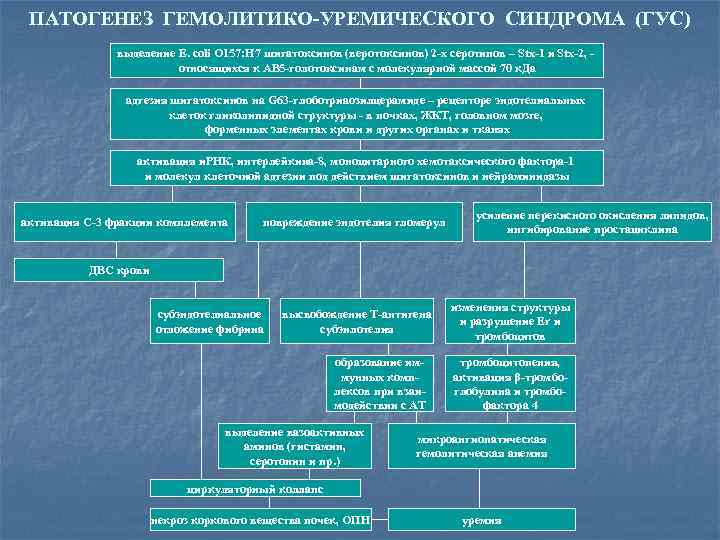 ПАТОГЕНЕЗ ГЕМОЛИТИКО-УРЕМИЧЕСКОГО СИНДРОМА (ГУС) выделение E. coli О 157: Н 7 шигатоксинов (веротоксинов) 2