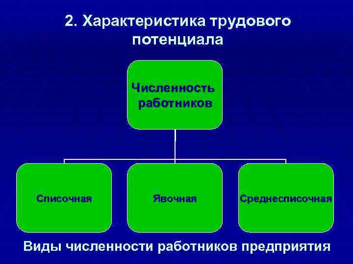 Схема персонала предприятия