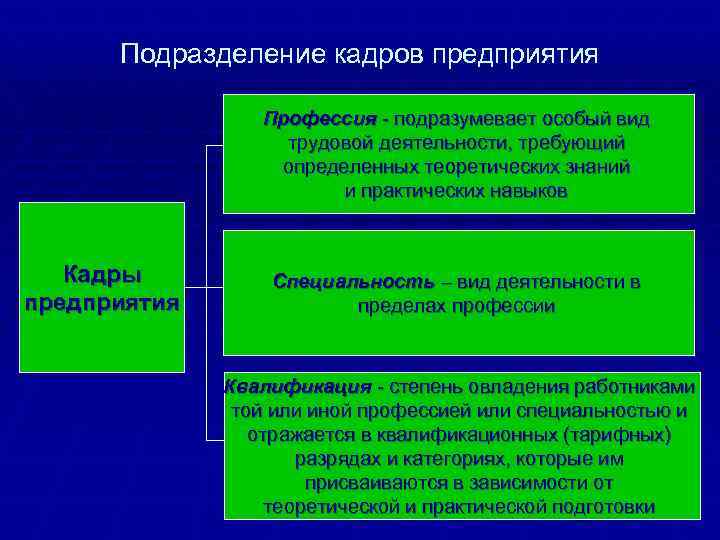 Вид трудовой деятельности требующий определенных теоретических