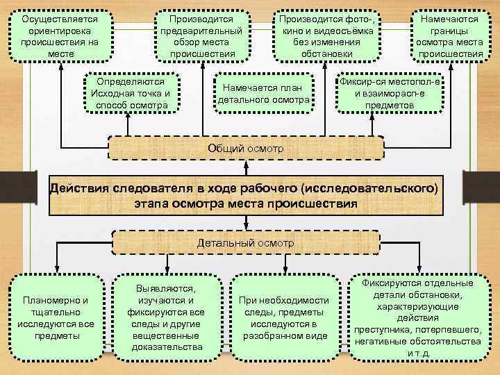 Осуществляется ориентировка происшествия на месте Производится предварительный обзор места происшествия Определяются Исходная точка и