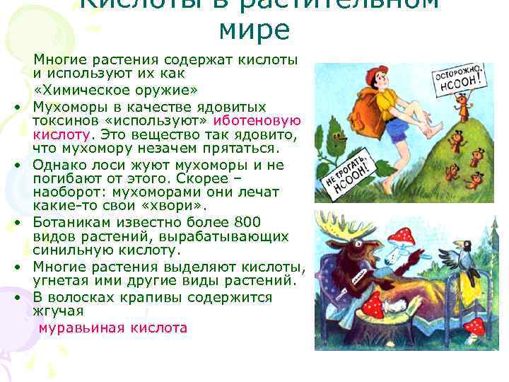Кислоты в растительном мире • • • Многие растения содержат кислоты и используют их
