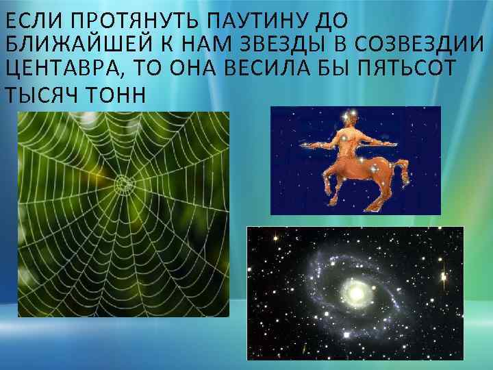 ЕСЛИ ПРОТЯНУТЬ ПАУТИНУ ДО БЛИЖАЙШЕЙ К НАМ ЗВЕЗДЫ В СОЗВЕЗДИИ ЦЕНТАВРА, ТО ОНА ВЕСИЛА