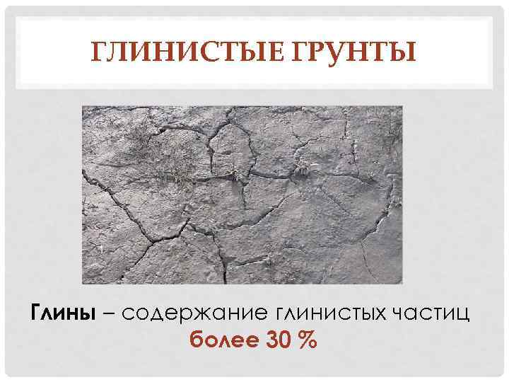 ГЛИНИСТЫЕ ГРУНТЫ Глины – содержание глинистых частиц более 30 % 