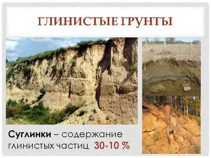 ГЛИНИСТЫЕ ГРУНТЫ Суглинки – содержание глинистых частиц 30 -10 % 