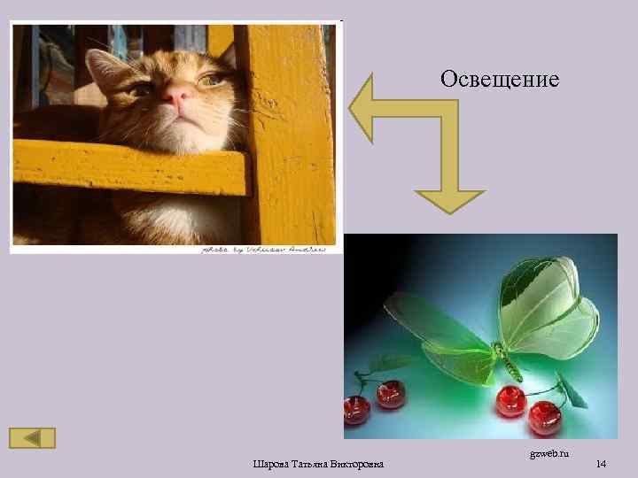 Освещение Шарова Татьяна Викторовна gzweb. ru 14 