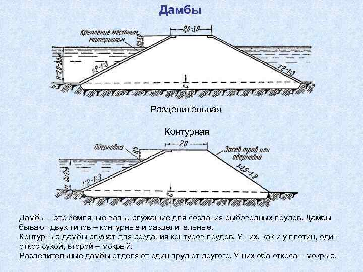 Дамбы Разделительная Контурная Дамбы – это земляные валы, служащие для создания рыбоводных прудов. Дамбы