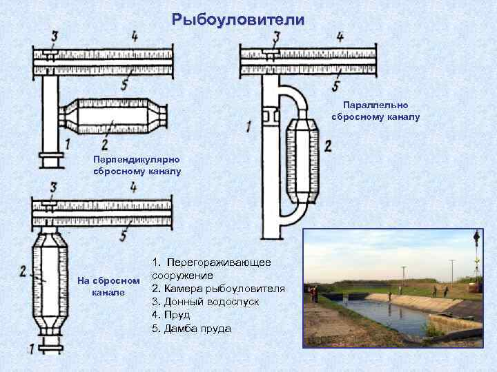 Рыбоуловители Параллельно сбросному каналу Перпендикулярно сбросному каналу На сбросном канале 1. Перегораживающее сооружение 2.