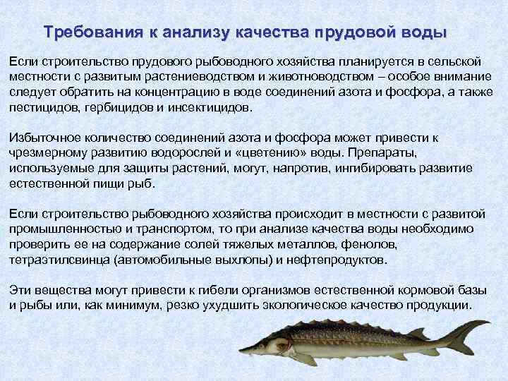 Требования к анализу качества прудовой воды Если строительство прудового рыбоводного хозяйства планируется в сельской