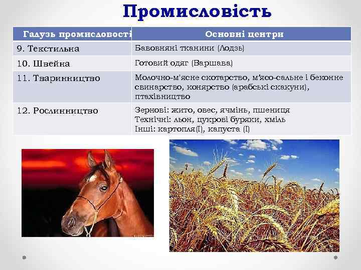 Промисловість Галузь промисловості Основні центри 9. Текстильна Бавовняні тканини (Лодзь) 10. Швейна Готовий одяг