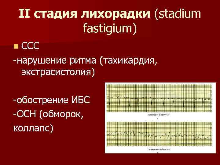 II стадия лихорадки (stadium fastigium) n ССС -нарушение ритма (тахикардия, экстрасистолия) -обострение ИБС -ОСН