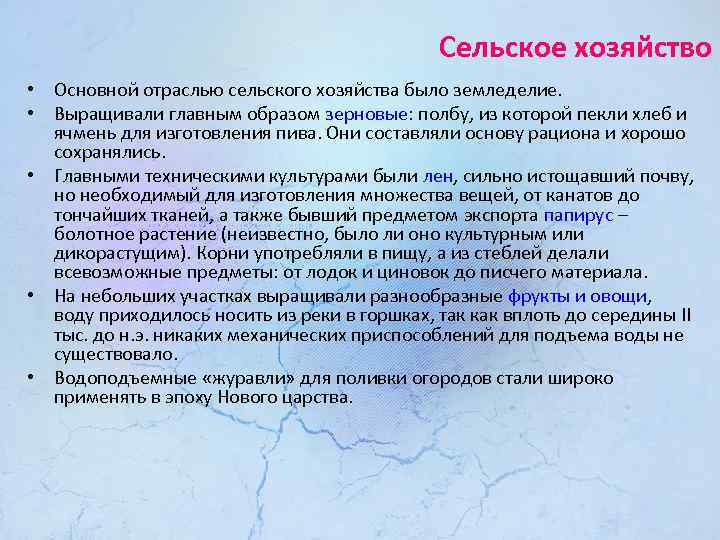 Сельское хозяйство • Основной отраслью сельского хозяйства было земледелие. • Выращивали главным образом зерновые: