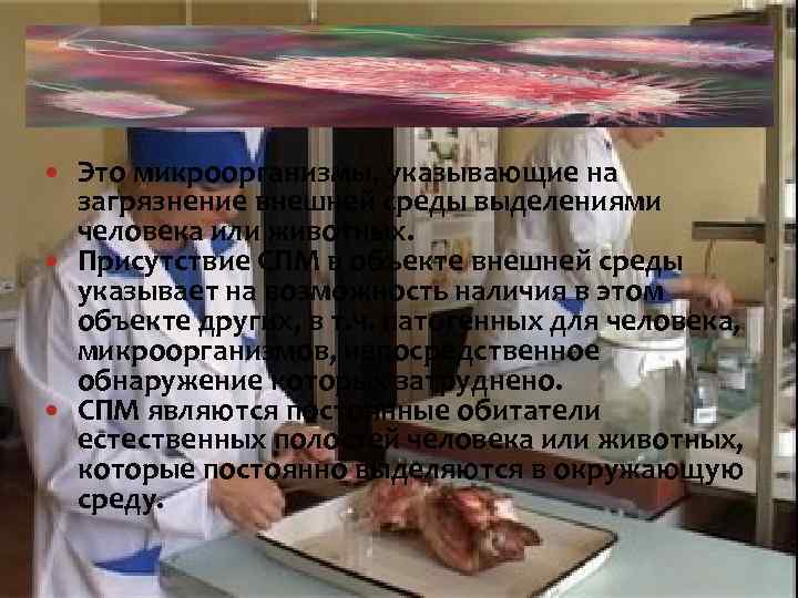  Это микроорганизмы, указывающие на загрязнение внешней среды выделениями человека или животных. Присутствие СПМ