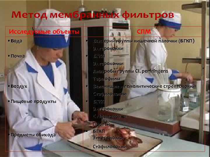 Исследуемые объекты • Вода • Почва • Воздух • Пищевые продукты • Предметы обихода