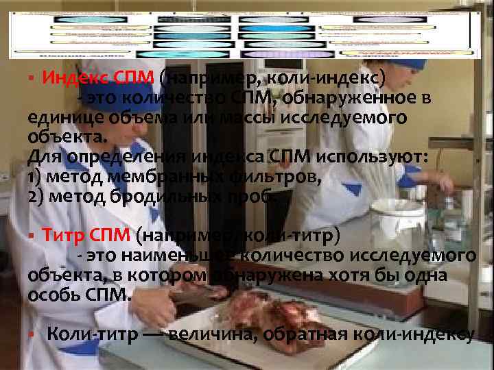 Индекс СПМ (например, коли-индекс) - это количество СПМ, обнаруженное в единице объема или массы