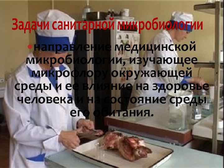  направление медицинской микробиологии, изучающее микрофлору окружающей среды и ее влияние на здоровье человека