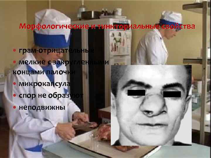 Морфологические и тинкториальные свойства грам-отрицательные мелкие с закругленными концами палочки микрокапсула спор не образуют