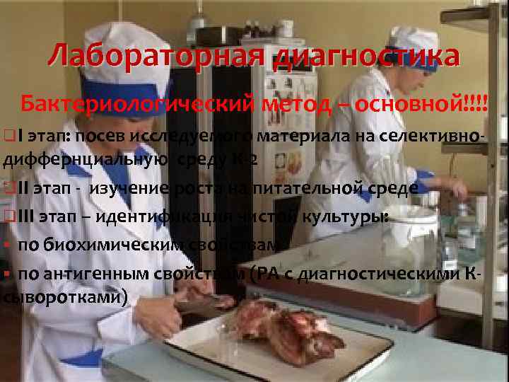 Лабораторная диагностика Бактериологический метод – основной!!!! q I этап: посев исследуемого материала на селективно-