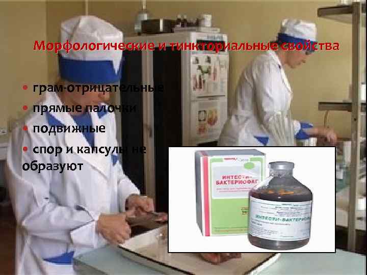 Морфологические и тинкториальные свойства грам-отрицательные прямые палочки подвижные спор и капсулы не образуют 