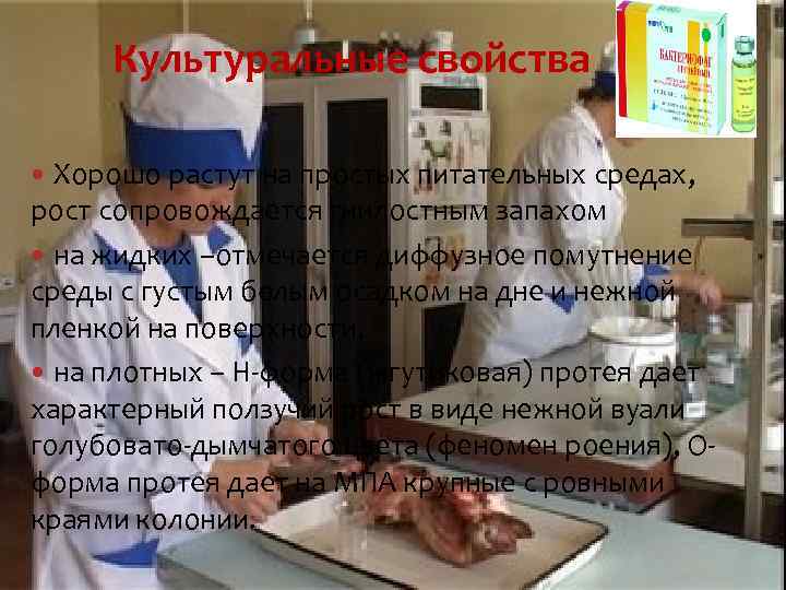 Культуральные свойства Хорошо растут на простых питательных средах, рост сопровождается гнилостным запахом на жидких