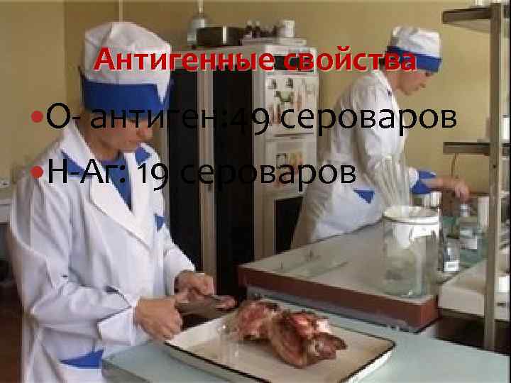 Антигенные свойства О- антиген: 49 сероваров Н-Аг: 19 сероваров 