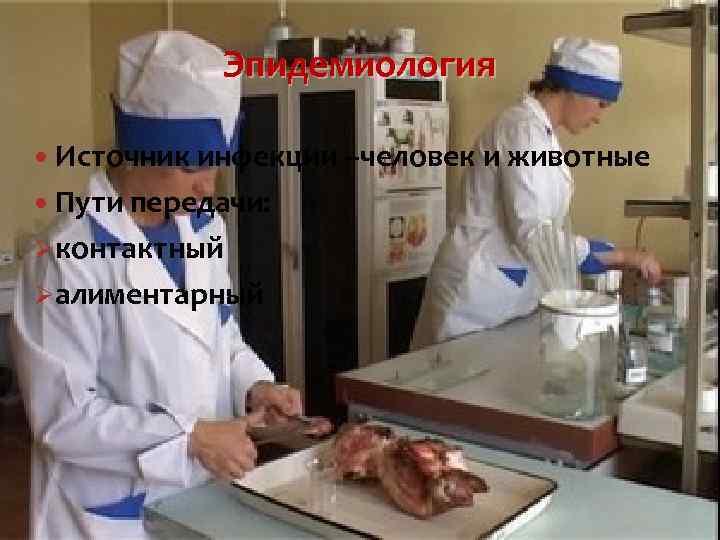 Эпидемиология Источник инфекции –человек и животные Пути передачи: Øконтактный Øалиментарный 