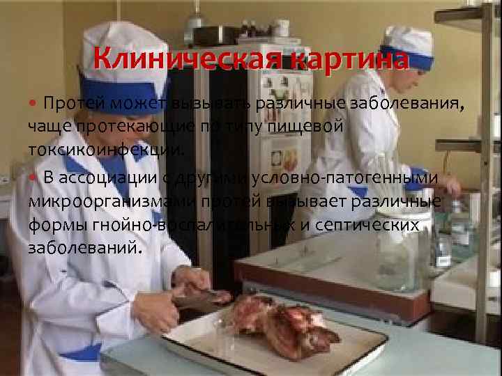 Клиническая картина Протей может вызывать различные заболевания, чаще протекающие по типу пищевой токсикоинфекции. В