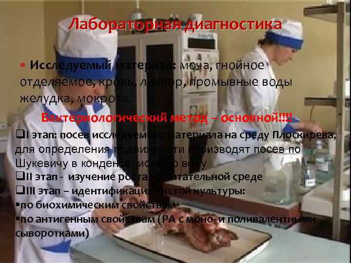 Лабораторная диагностика Исследуемый материал: моча, гнойное отделяемое, кровь, ликвор, промывные воды желудка, мокрота. Бактериологический