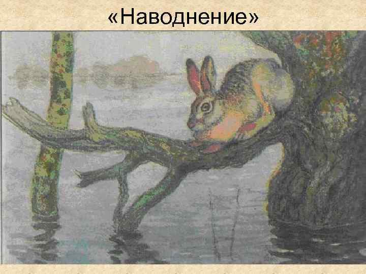  «Наводнение» 