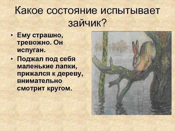 Какое состояние испытывает зайчик? • Ему страшно, тревожно. Он испуган. • Поджал под себя