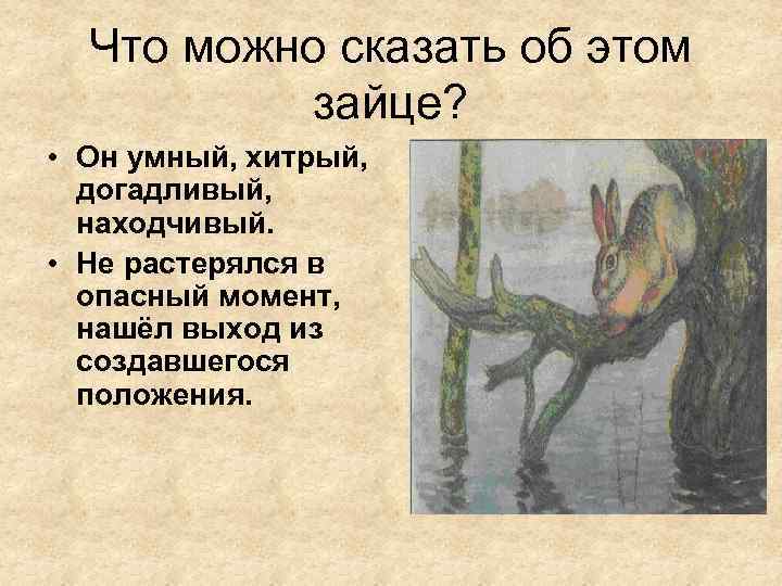 Что можно сказать об этом зайце? • Он умный, хитрый, догадливый, находчивый. • Не
