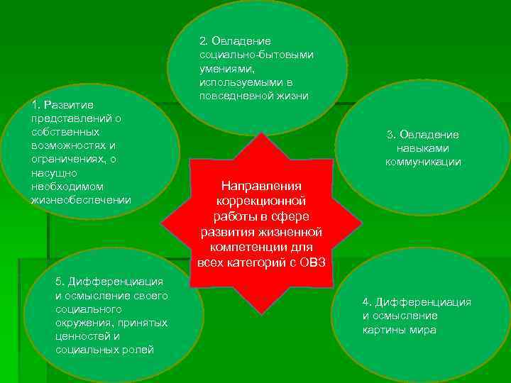 1. Развитие представлений о собственных возможностях и ограничениях, о насущно необходимом жизнеобеспечении 5. Дифференциация