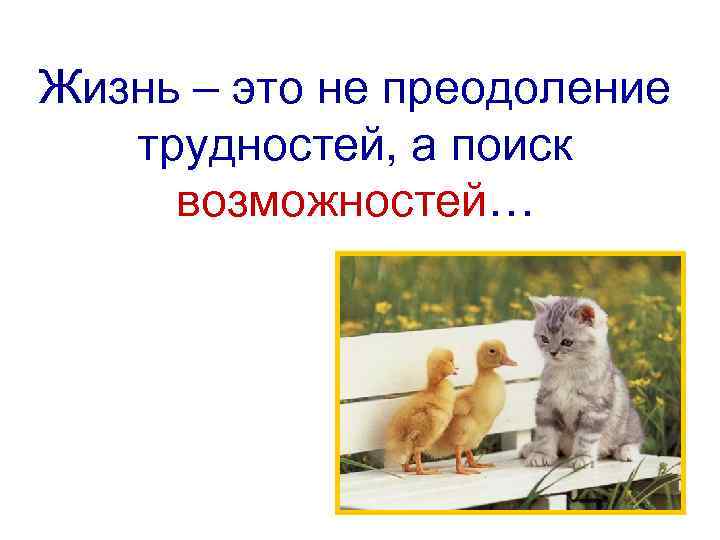 Жизнь – это не преодоление трудностей, а поиск возможностей… 