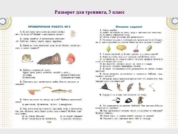 Разворот для тренинга, 3 класс 