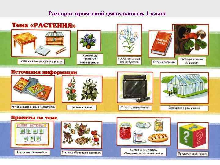 Разворот проектной деятельности, 1 класс 