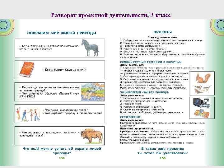 Разворот проектной деятельности, 3 класс 