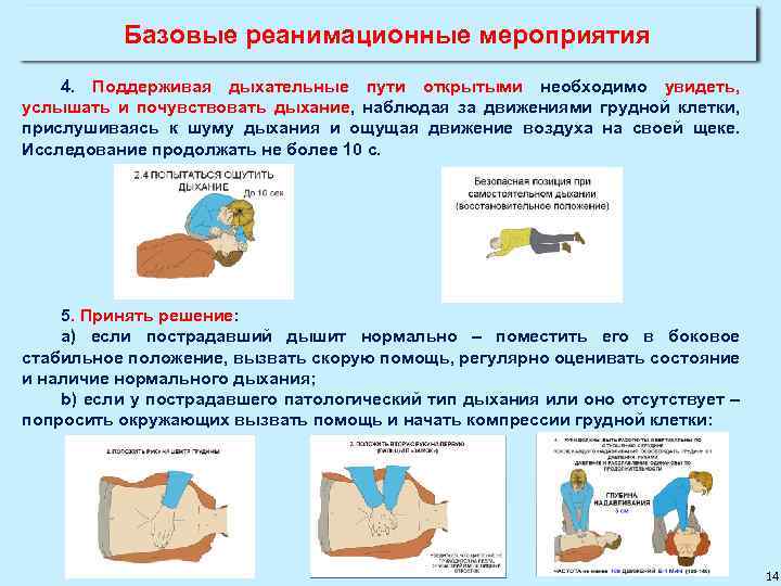 Базовые реанимационные мероприятия 4. Поддерживая дыхательные пути открытыми необходимо увидеть, услышать и почувствовать дыхание,