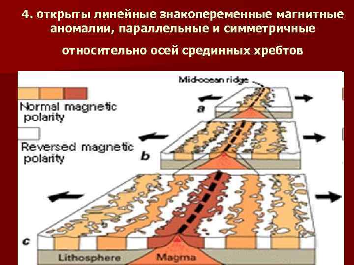4. открыты линейные знакопеременные магнитные аномалии, параллельные и симметричные относительно осей срединных хребтов 