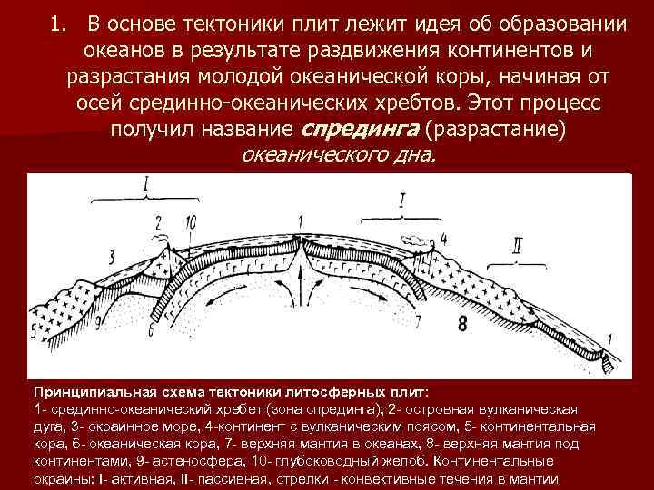 1. В основе тектоники плит лежит идея об образовании океанов в результате раздвижения континентов