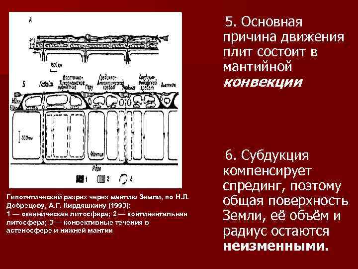 5. Основная причина движения плит состоит в мантийной конвекции Гипотетический разрез через мантию Земли,