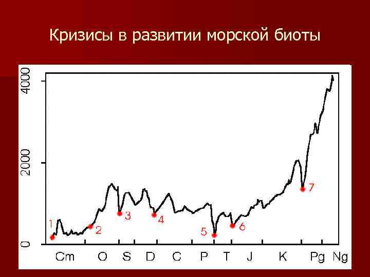 Кризисы в развитии морской биоты 