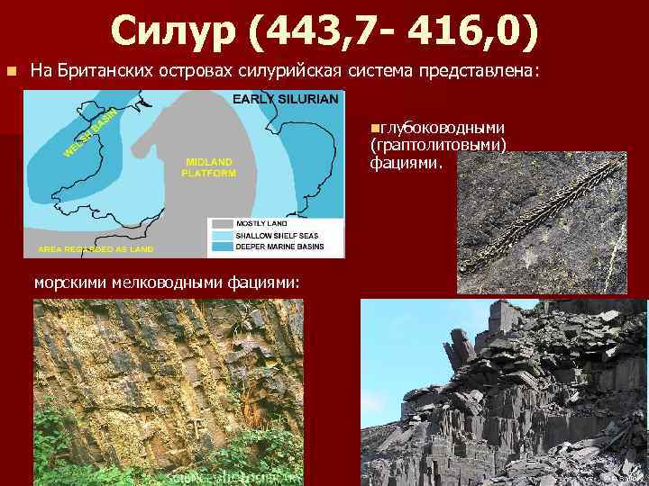 Силур (443, 7 - 416, 0) n На Британских островах силурийская система представлена: nглубоководными
