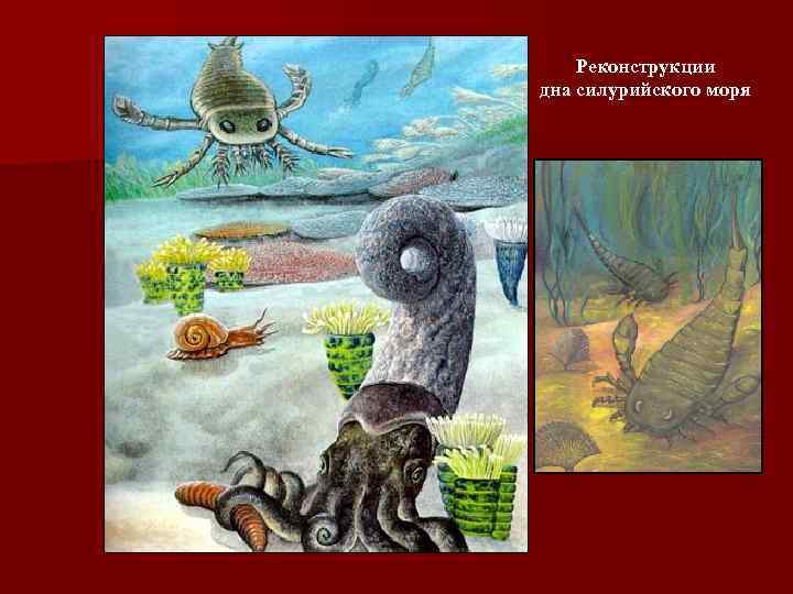 Реконструкции дна силурийского моря 