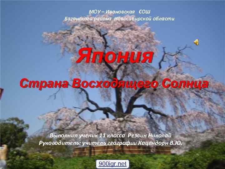 МОУ – Ивановская СОШ Баганского района Новосибирской области Выполнил ученик 11 класса Резвин Николай
