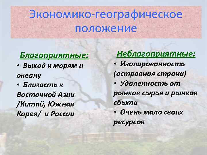 Экономико-географическое положение Благоприятные: • Выход к морям и океану • Близость к Восточной Азии