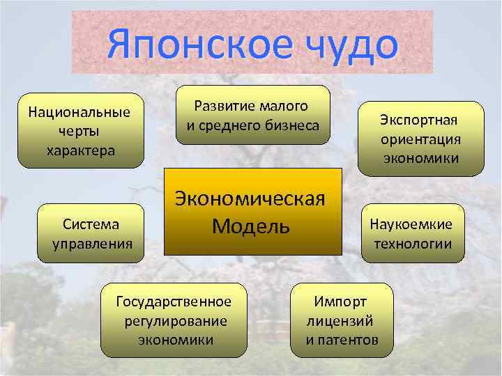 Японское чудо Национальные черты характера Система управления Развитие малого и среднего бизнеса Экономическая Модель