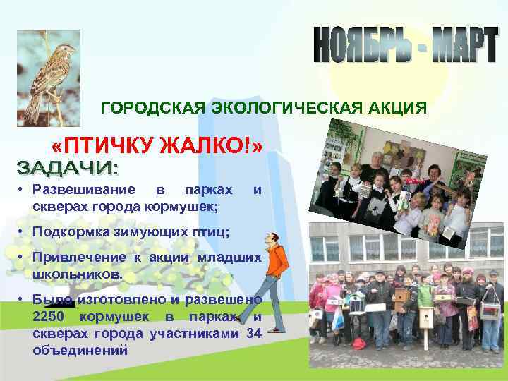 ГОРОДСКАЯ ЭКОЛОГИЧЕСКАЯ АКЦИЯ «ПТИЧКУ ЖАЛКО!» • Развешивание в парках скверах города кормушек; и •