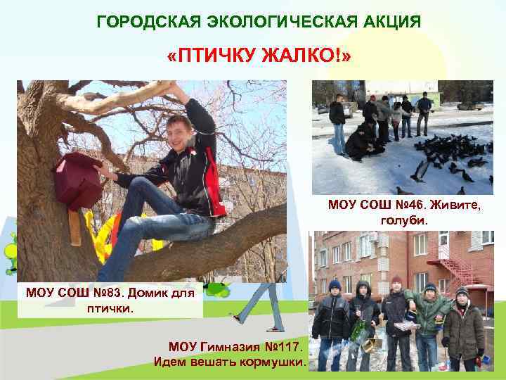 ГОРОДСКАЯ ЭКОЛОГИЧЕСКАЯ АКЦИЯ «ПТИЧКУ ЖАЛКО!» МОУ СОШ № 46. Живите, голуби. МОУ СОШ №