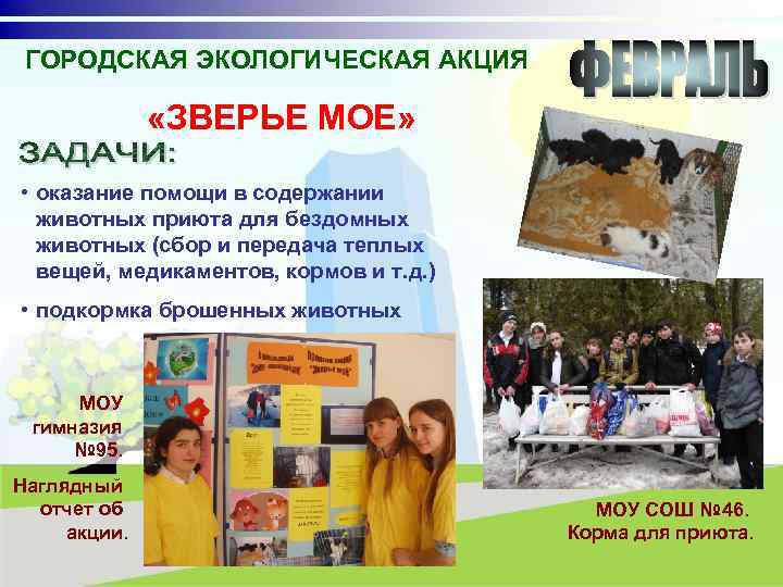 ГОРОДСКАЯ ЭКОЛОГИЧЕСКАЯ АКЦИЯ «ЗВЕРЬЕ МОЕ» • оказание помощи в содержании животных приюта для бездомных