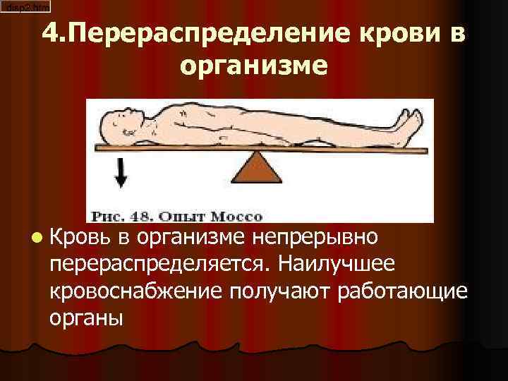 4. Перераспределение крови в организме l Кровь в организме непрерывно перераспределяется. Наилучшее кровоснабжение получают