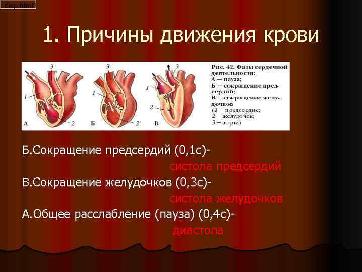 1. Причины движения крови Б. Сокращение предсердий (0, 1 с) систола предсердий В. Сокращение